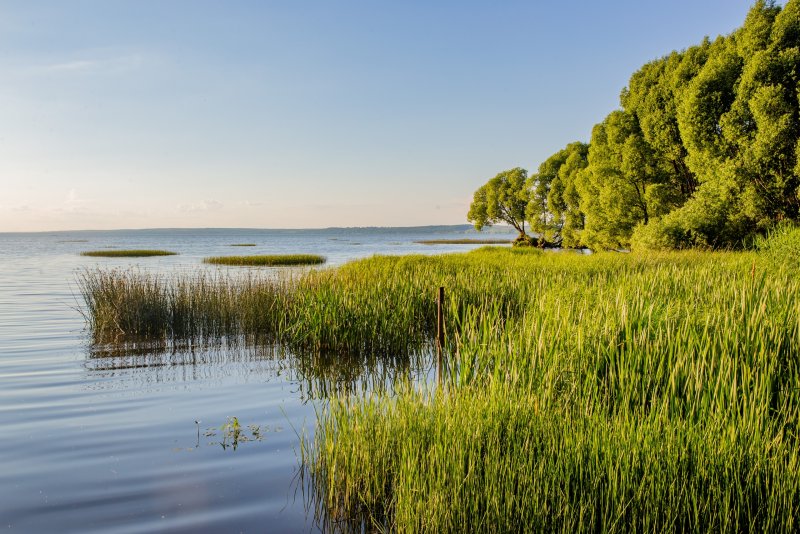 Национальный парк Плещеево озеро Ярославской области