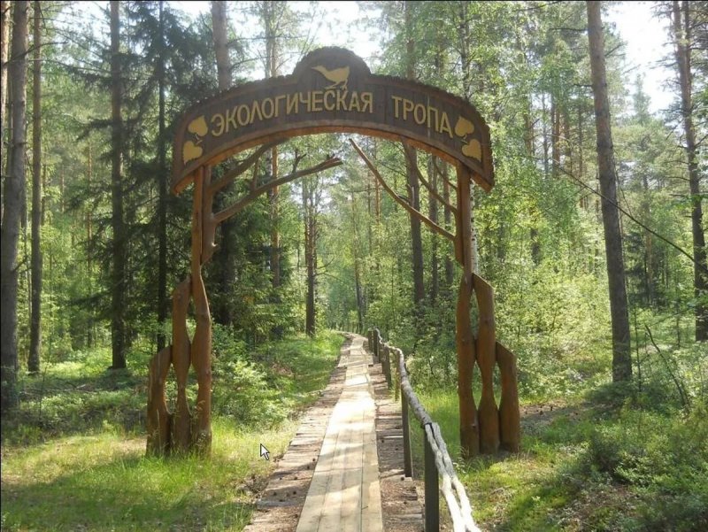 Национальный парк Мещера Гусь-Хрустальный