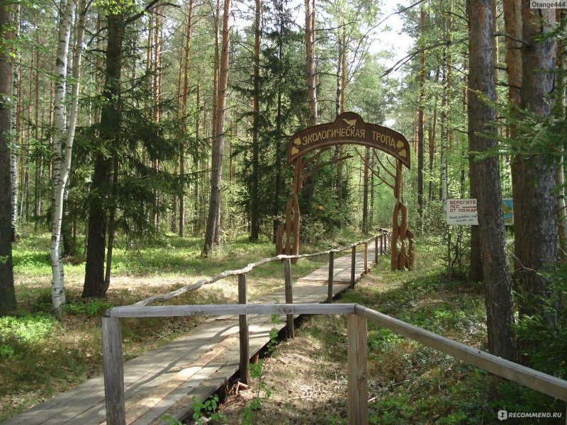 Мещёрский национальный парк Гусь Хрустальный