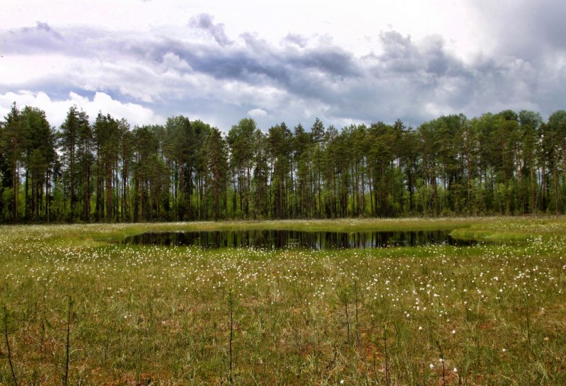 Национальный парк Койгородский в Республике Коми