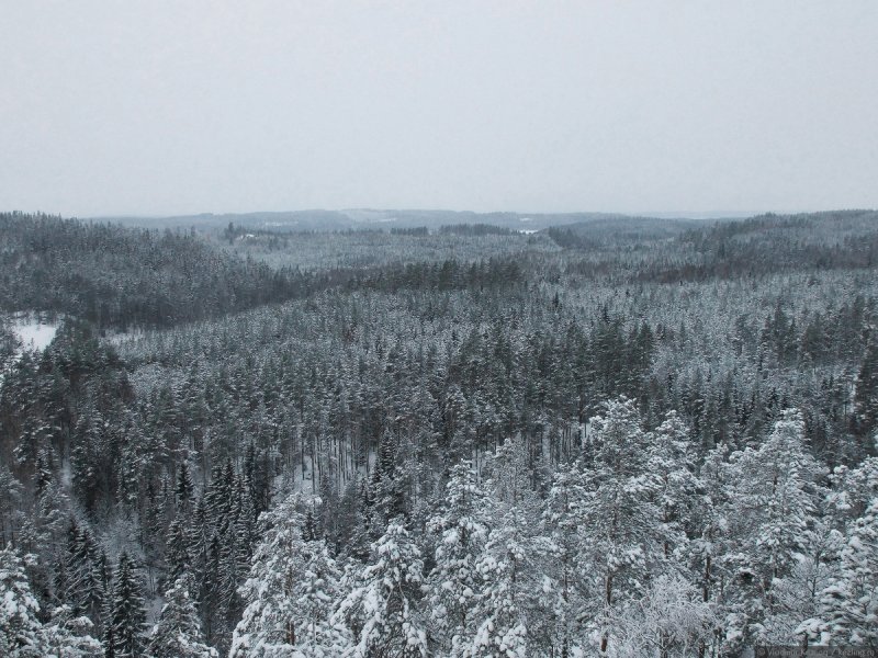 Национальный парк "Реповеси" зимой. Южная часть