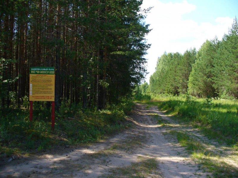 Национальный парк Нечкинский Удмуртия