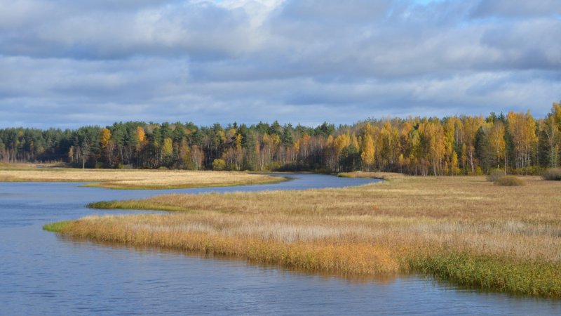 Себежский национальный парк Псковская область