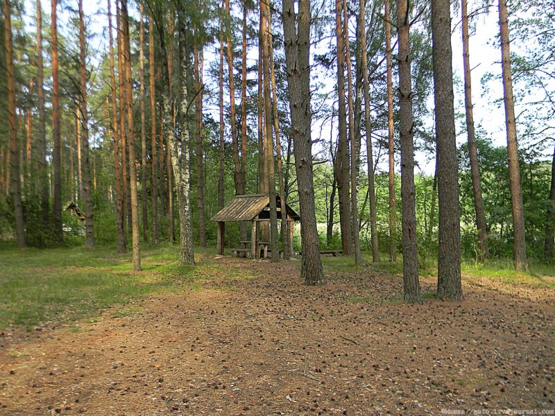 Себежский национальный парк Псковская область