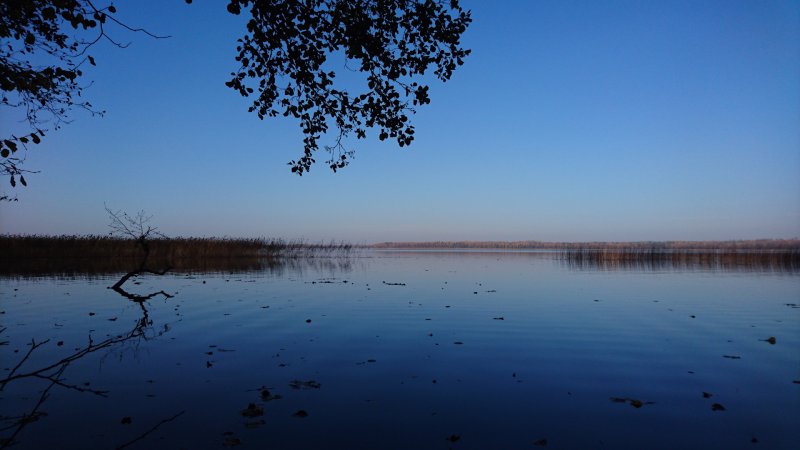 Озеро Свибло Псковская область