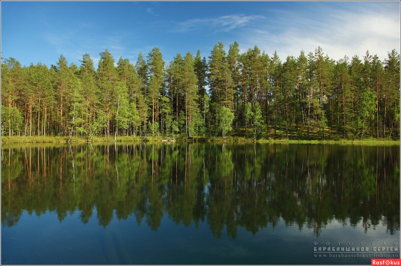Озеро Зеленец Себежский район