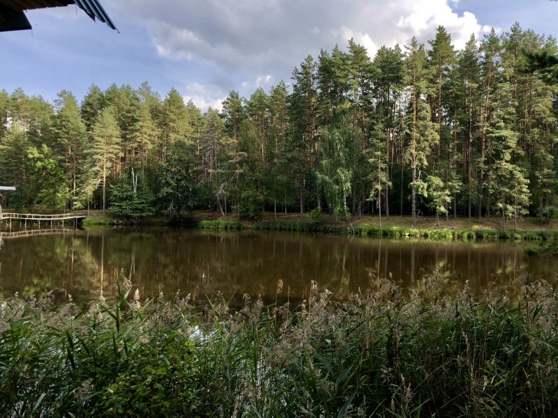 Озеро центральное в Орловском Полесье