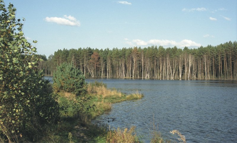 Орловское Полесье национальный парк видео