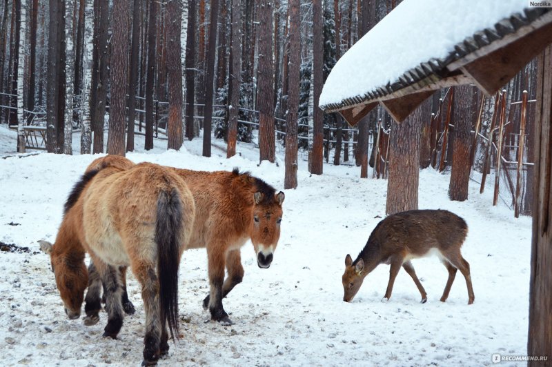Национальный парк Орловское Полесье
