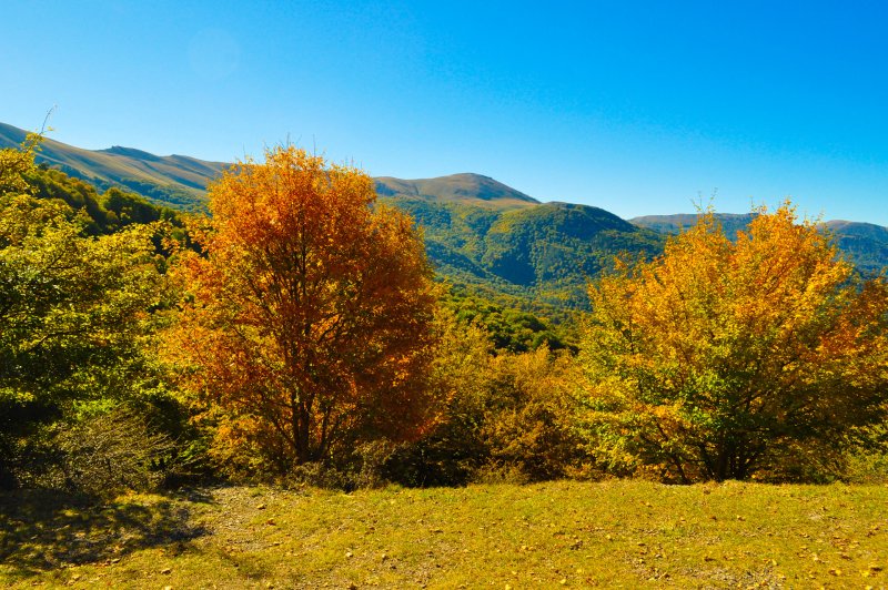 Алуштинский Горно-Лесной заповедник