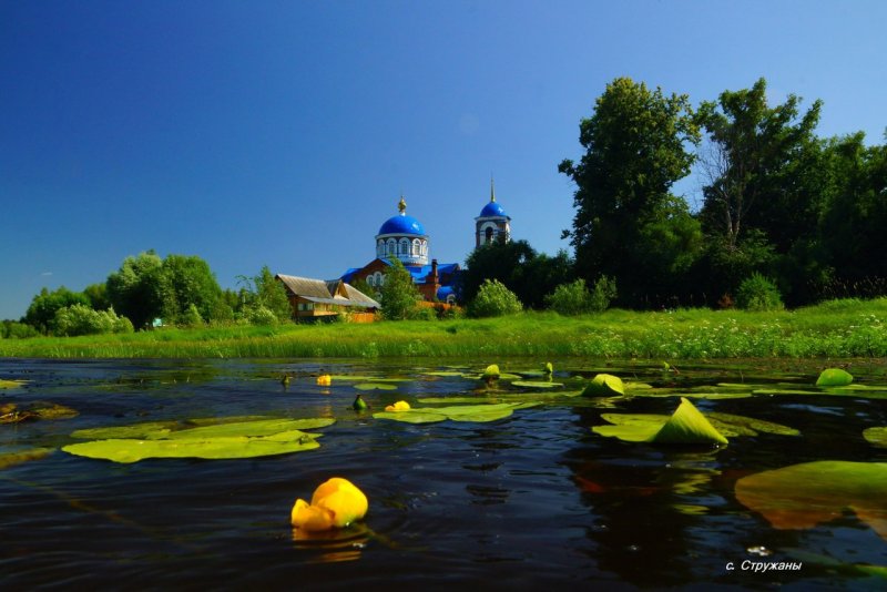 Национальный парк Мещёра во Владимирской области