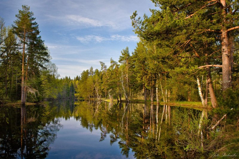 Мещёрский национальный парк Владимирская область