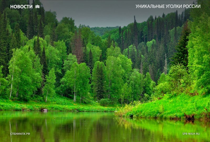 Салаир Алтайский край парк