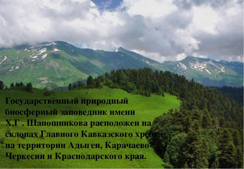 Сочинский национальный парк