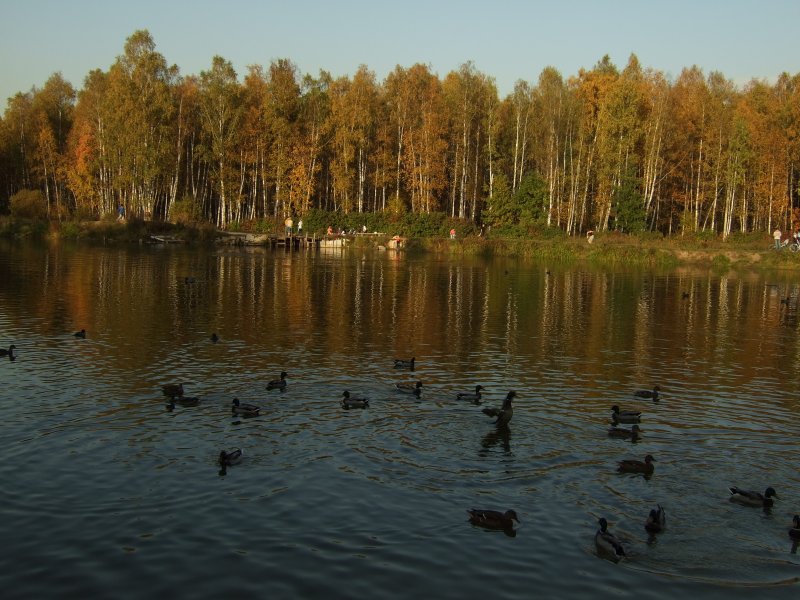 Лосиный остров национальный парк Москва