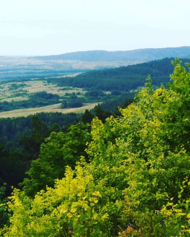 Хвалынский национальный парк Саратовская область летом