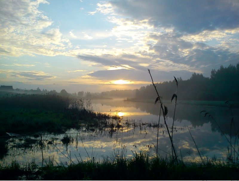 Национальный парк Смоленское Поозерье официальный сайт