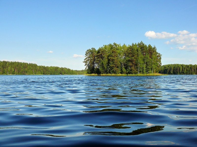Озеро Сапшо Смоленская область