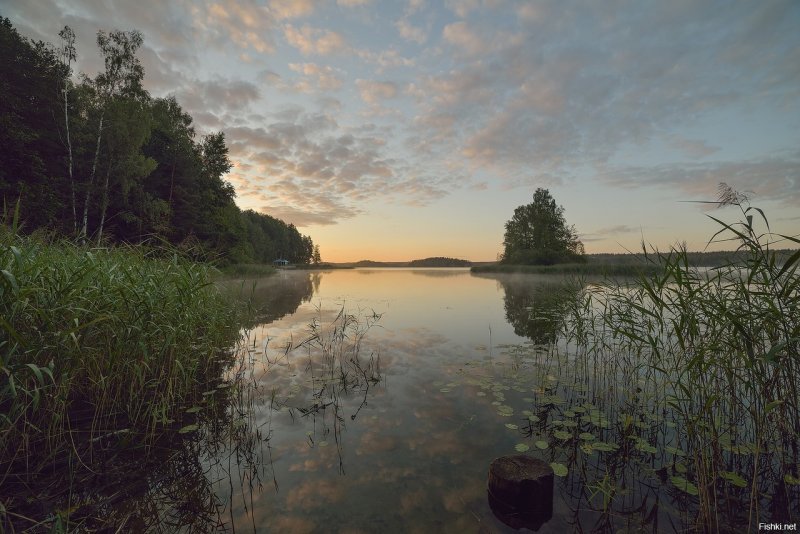 Пржевальское озеро Смоленск