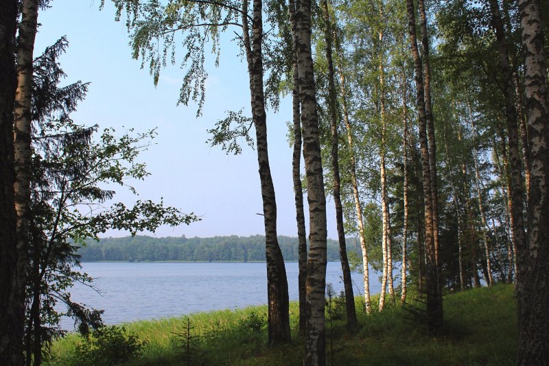 Национальный парк Смоленское Поозерье озера