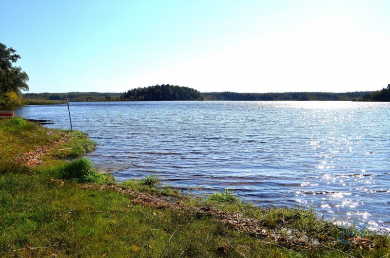 Сапшо озеро Смоленская