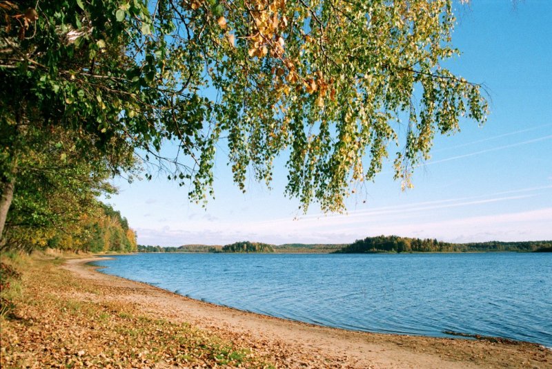 Озеро ДГО Смоленская область