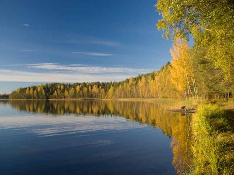 Парк Смоленское Поозерье озеро