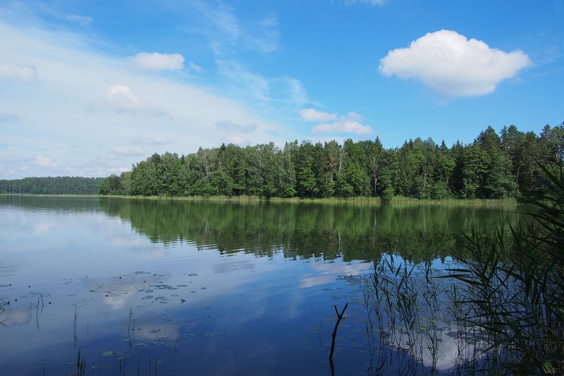Озеро Сапшо Смоленская область