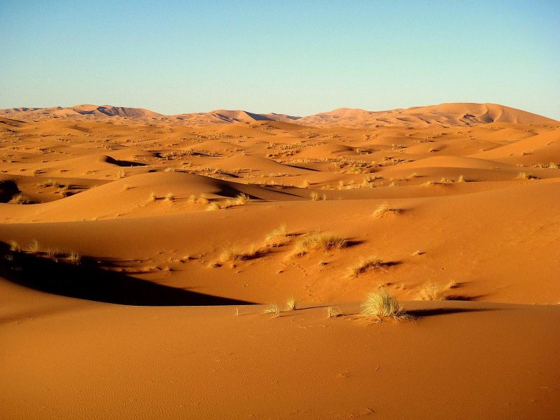 Пустыни сахара Ливийская нубийская Намиб Калахари
