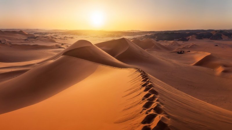 Пустыня сахара панорама