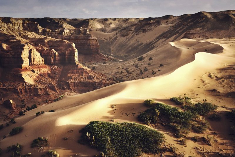 Пустыня Гоби природа