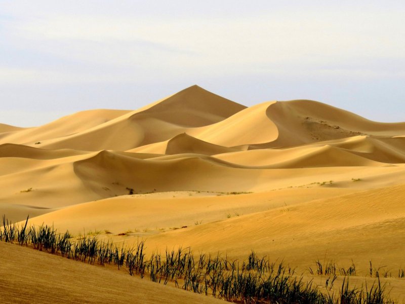 Gobi пустыня