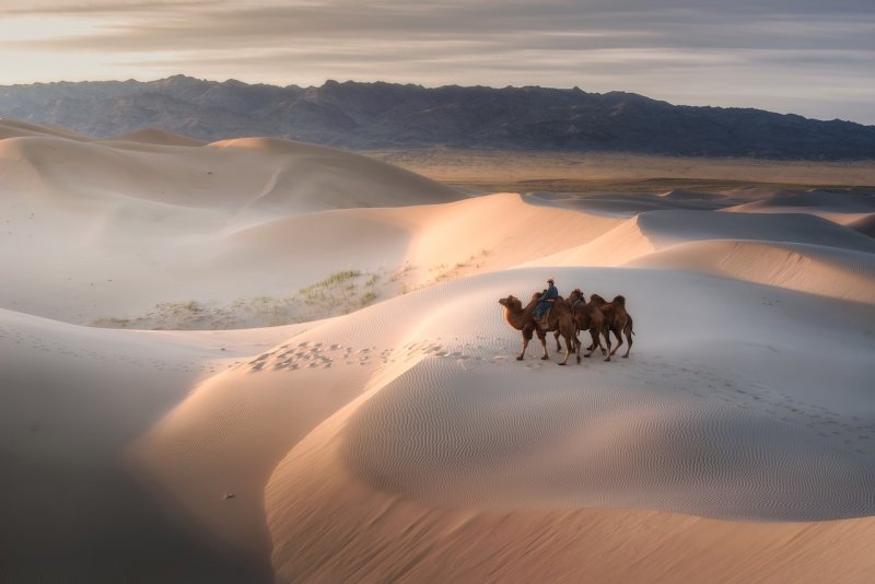 Отель в пустыне Гоби Монголия