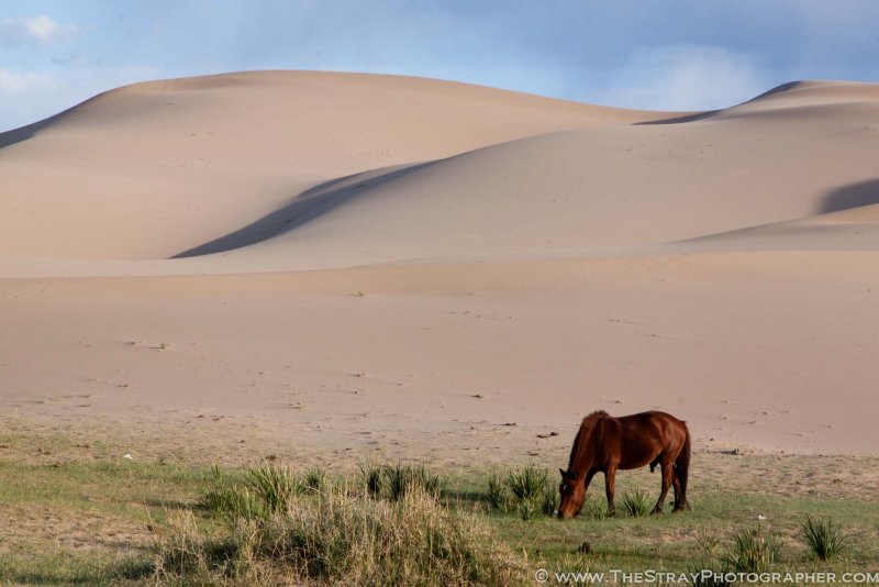 Достопримечательности Монголии пустыня Гоби