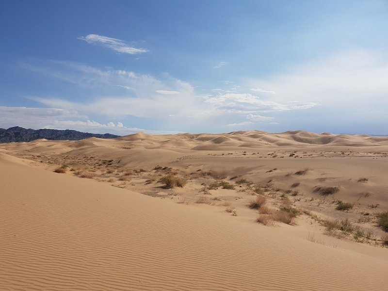 Дюны в пустыне Гоби