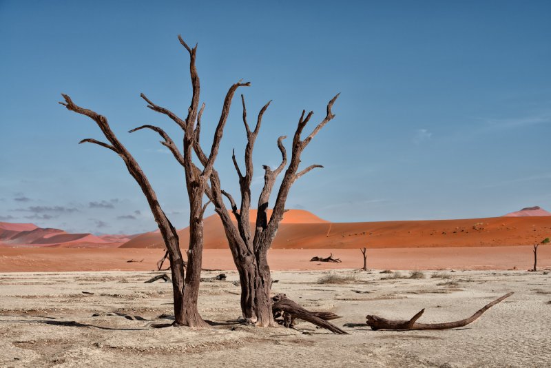 Дюны пустыни Намиб