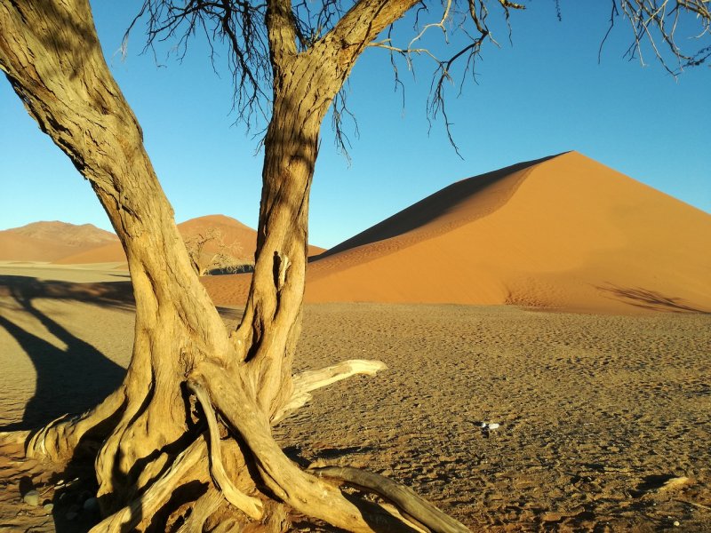 Намиб материк