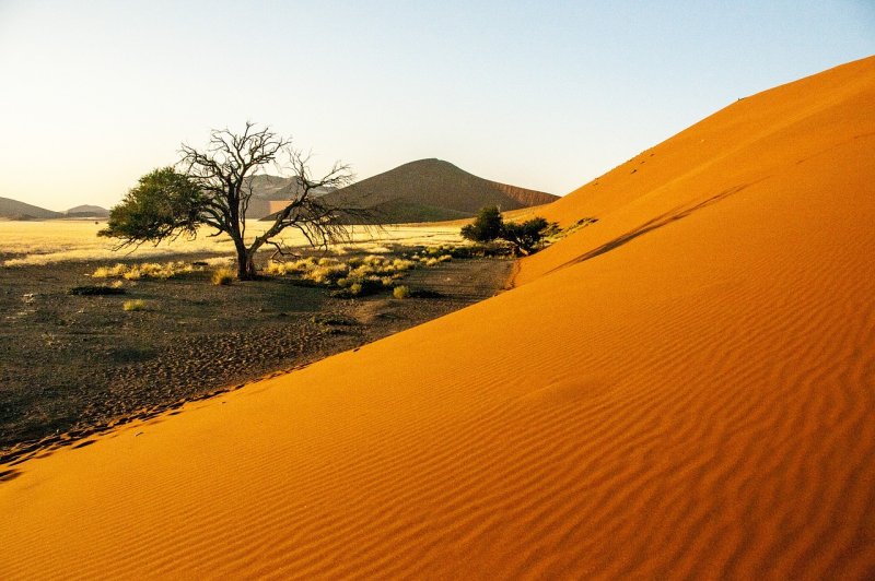 Африка пустыня
