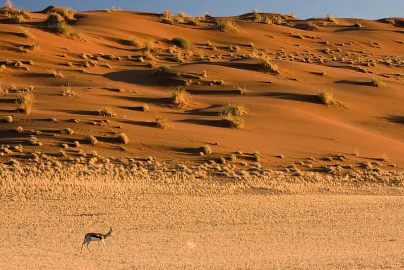 Песчаные дюны Намибии