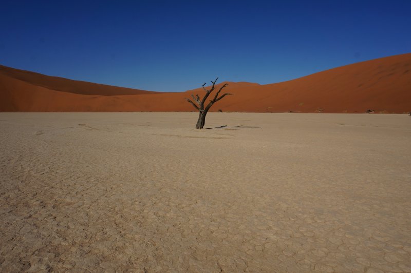 Природа пустыни Намиб
