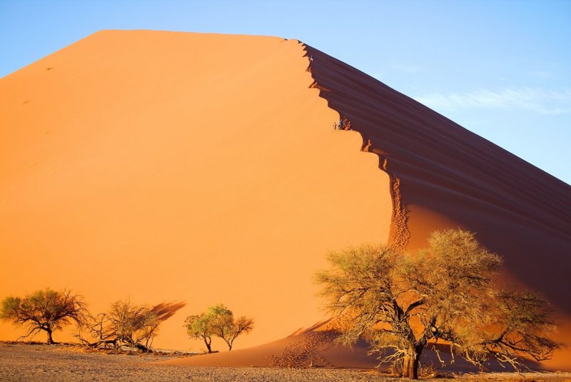 Берег пустыни Намиб