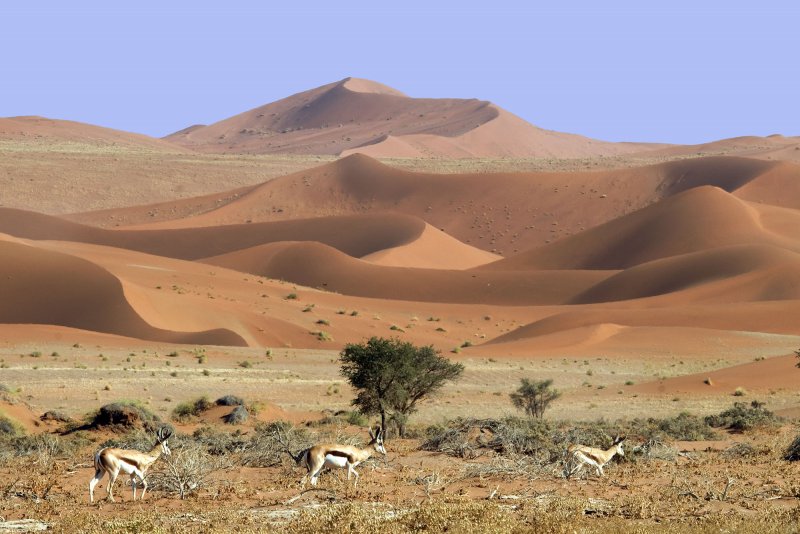 Намибия Соссусфлей в пустыне Намиб
