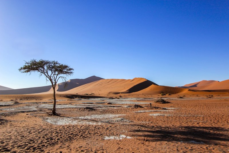 Самая маленькая пустыня в Африке