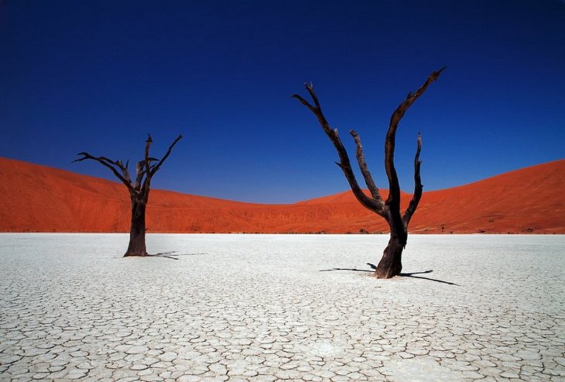 Дюна 7 в пустыне Намиб