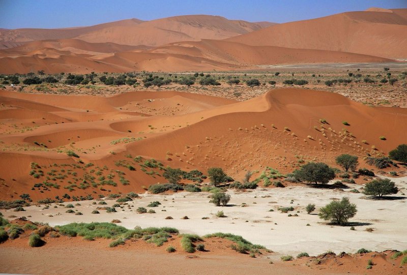 ЧУДОПУТЕШЕСТВИЯ пустыня Намиб