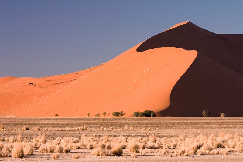 Пустыня Намиб проект