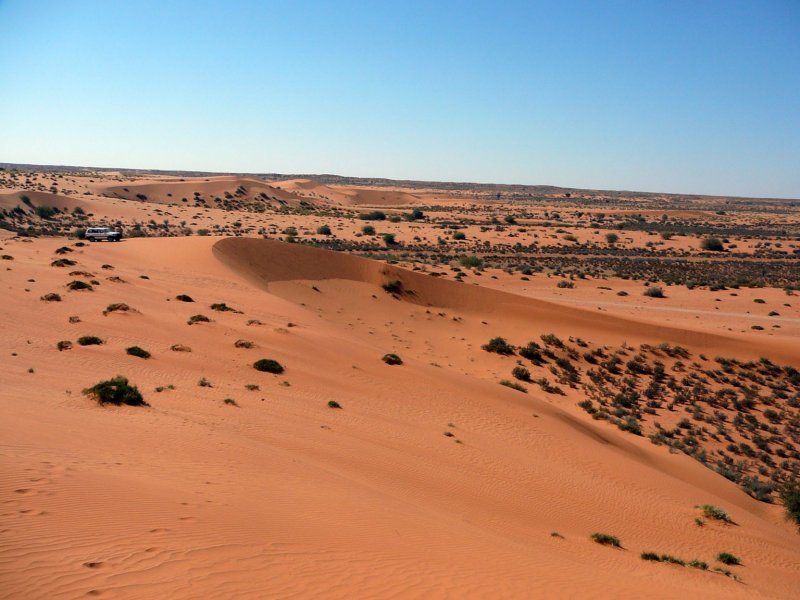 Пустыня Калахари ЮАР
