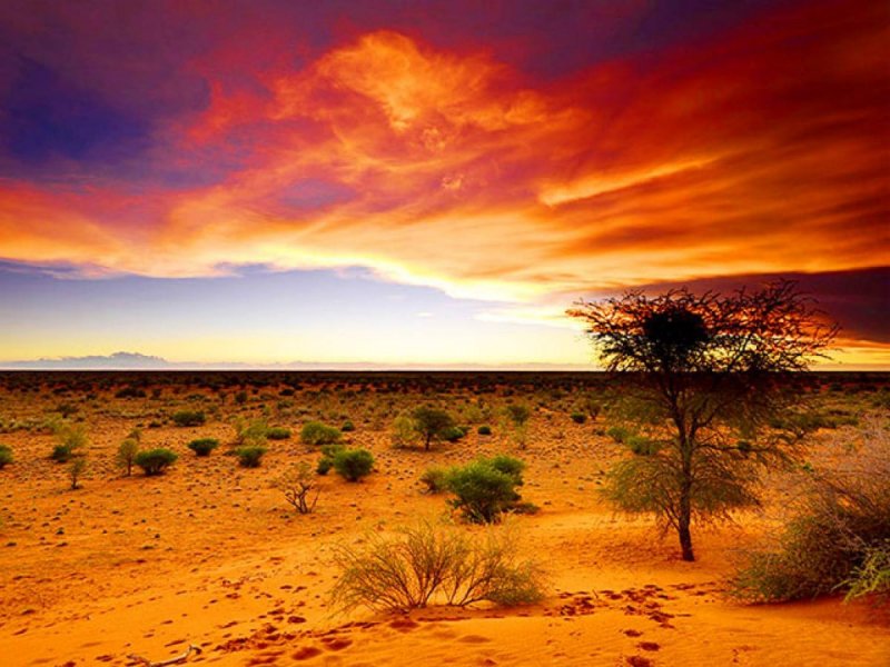 Пустыня Калахари ЮАР