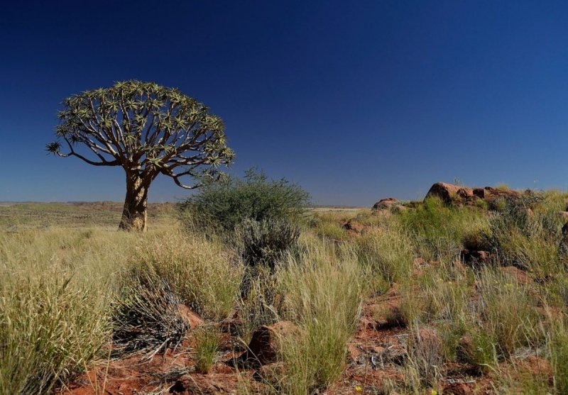 Намибия Пески Имре