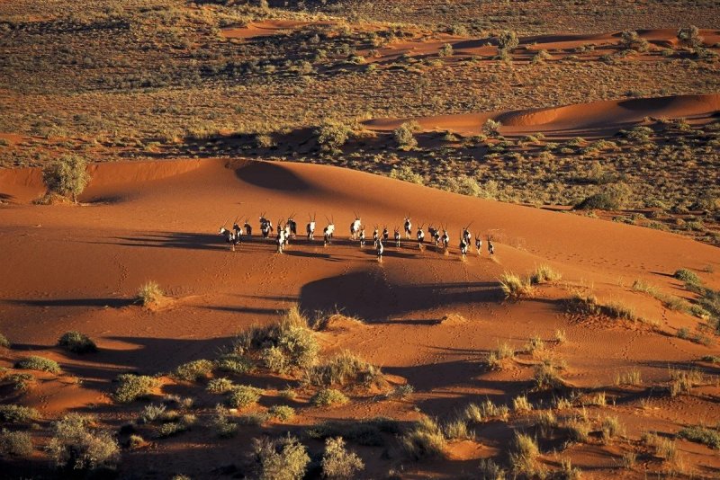 Намибия пустыня Калахари